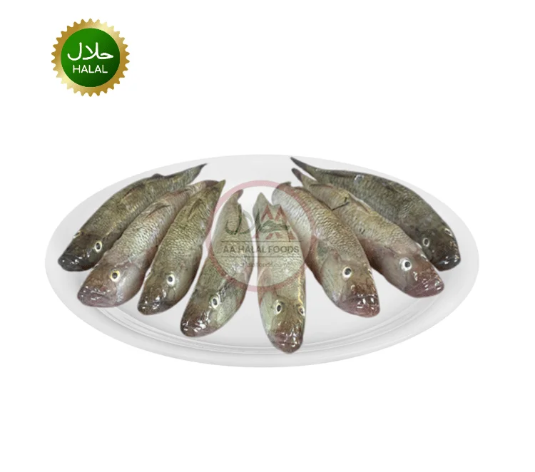 Baila Fish 500g fresh small bele fish cleaned pack