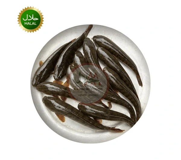 Taki Fish 600g Cleaned fresh halal fish in Japan