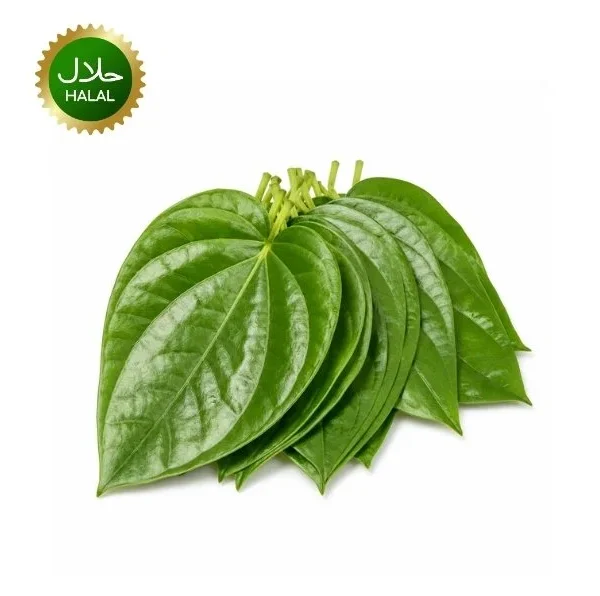 Fresh Betel Leaves 50g